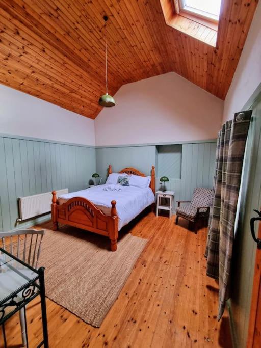 Cottage Skelligs Coast, Ring Of Kerry 캐허시빈 외부 사진