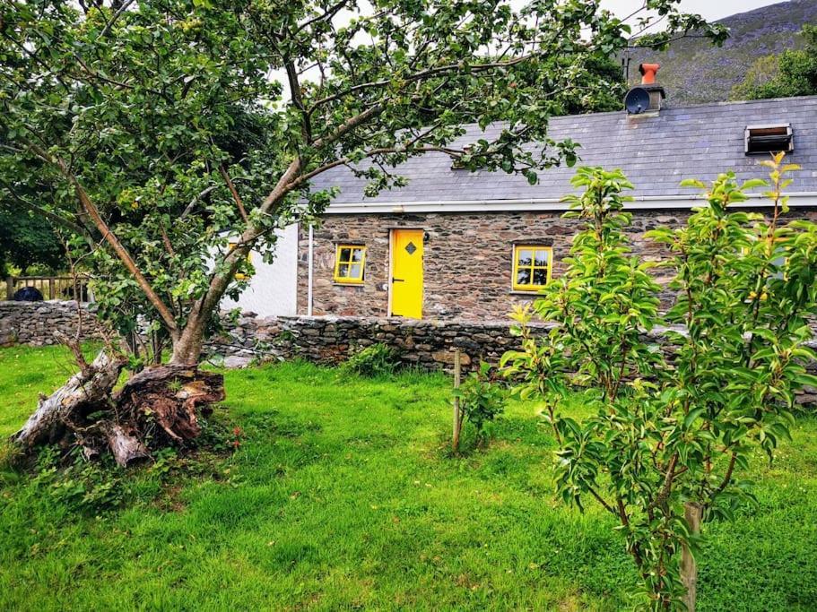 Cottage Skelligs Coast, Ring Of Kerry 캐허시빈 외부 사진